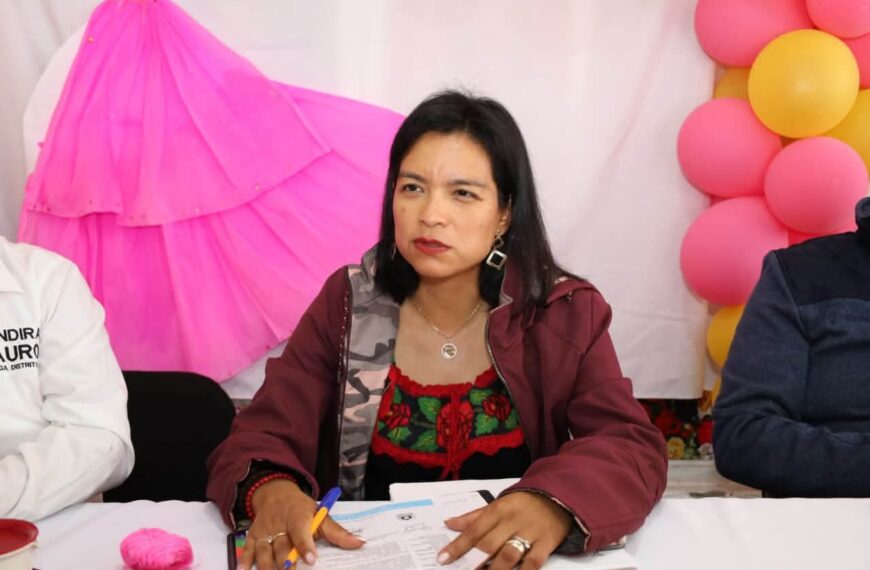 Erendira Isauro lleva al Congreso iniciativas para proteger a mujeres indígenas