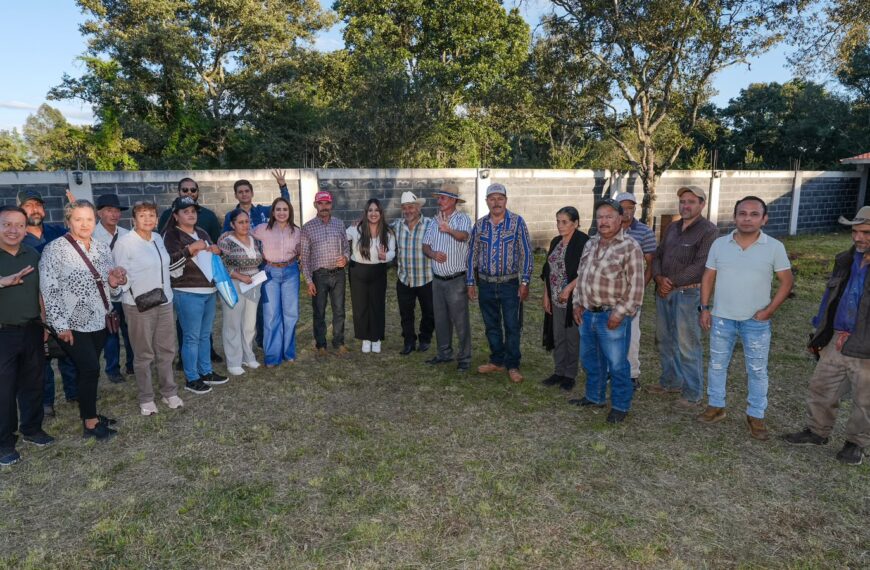 Tenencias y comunidades de Morelia, en el abandono: Gladyz Butanda